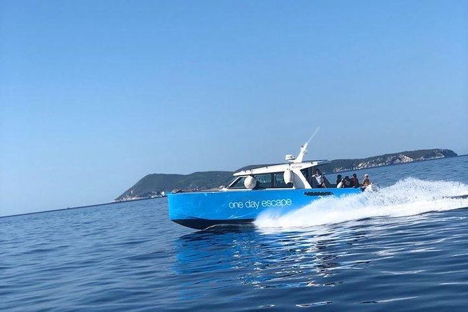 4-Island Split Boat Tour (Brač, Pakleni, Hvar, Šolta) - Is $150.85 a fair price?
