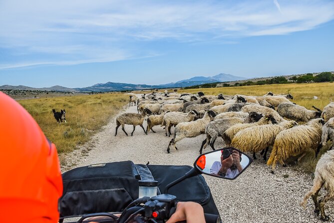ATV Dinara Mountain tour with picnic - Price, timing, and cancellation details