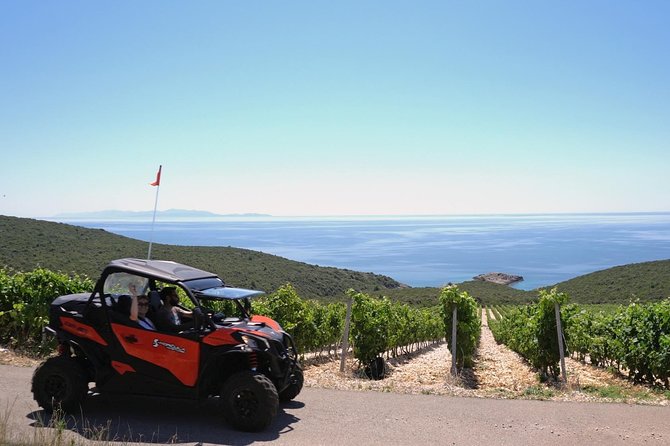 Best of Korcula island winery's by 4X4 Canam buggys with lunch - Why this tour is different from a standard island drive