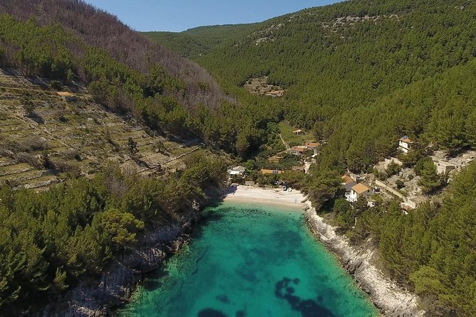 Best of Korcula island winery's by 4X4 Canam buggys with lunch - Two winery stops with a local focus