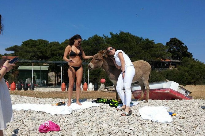 Blue Cave, Hvar and Five islands - Small-Group Tour From Split - How to prepare for ten hours on the water
