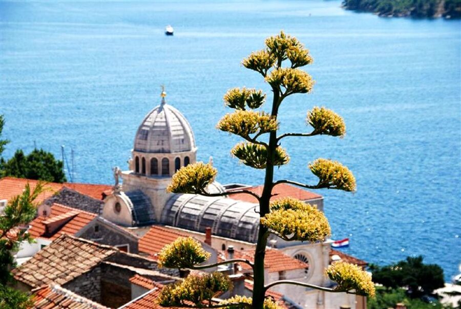 Dalmatian Delights: Food & Wine Tour from Split or Trogir - Who will enjoy this tour most