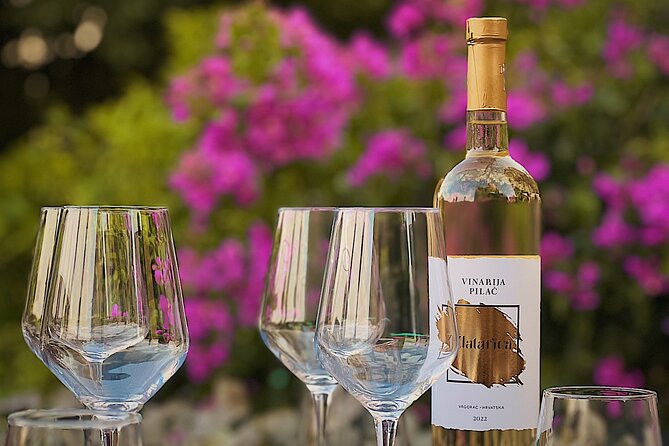 Dalmatian wine tasting by Bottiglia wine & deli - Three glasses, several Dalmatian styles