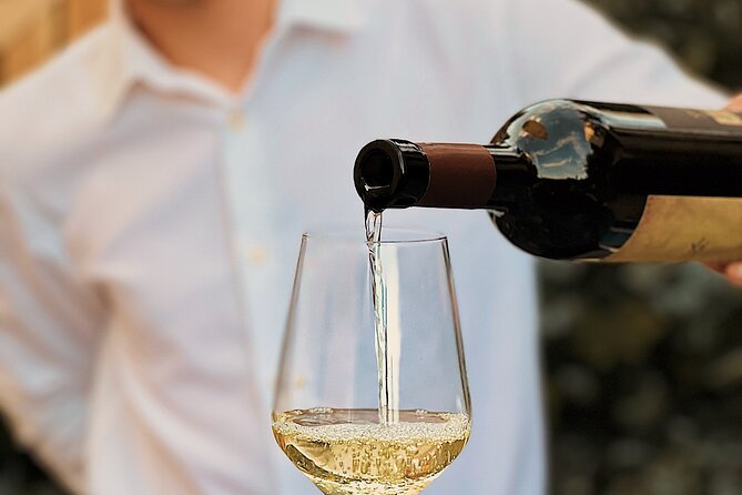 Dalmatian wine tasting by Bottiglia wine & deli - The value of $54.07 per person