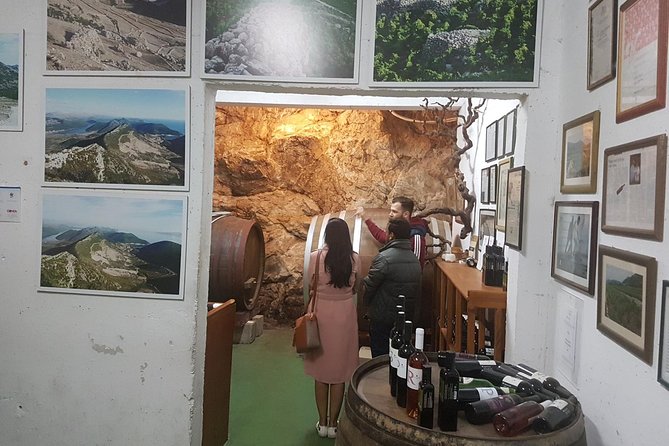 Day Trip to Dubrovnik From Split - Ston, oysters, and a family farm