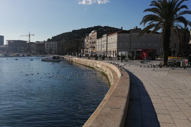 Diocletian's Palace Small Group Tour in Split - The Diocletian’s Cellars and the palace below