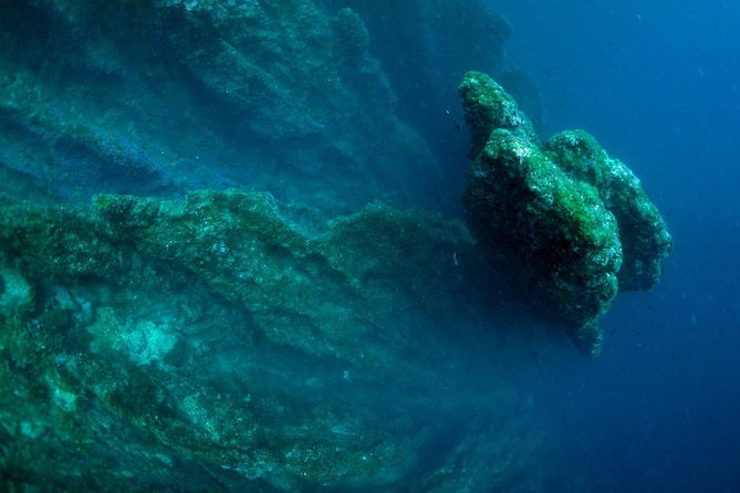 Diving day tour with 2 dives - Who will get the most from this outing