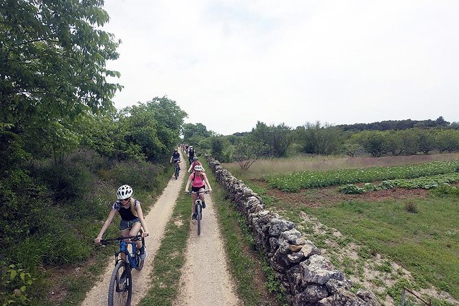 Exploring Vodice on Two Wheels - Who should book this Vodice bike tour?