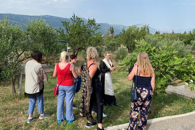 Family-run Vineyard Tour & Award Winning Wine Tasting/Delicacies - Bijaći and the story behind the setting