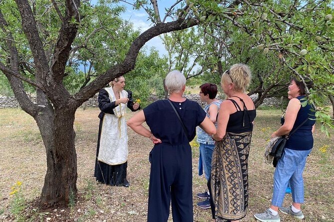 Family-run Vineyard Tour & Award Winning Wine Tasting/Delicacies - A Dalmatian table among the trees