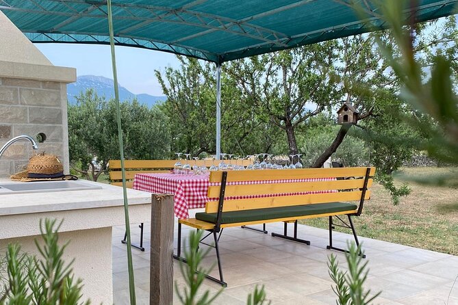 Family-run Vineyard Tour & Award Winning Wine Tasting/Delicacies - Croatian songs, local dress, and the human touch