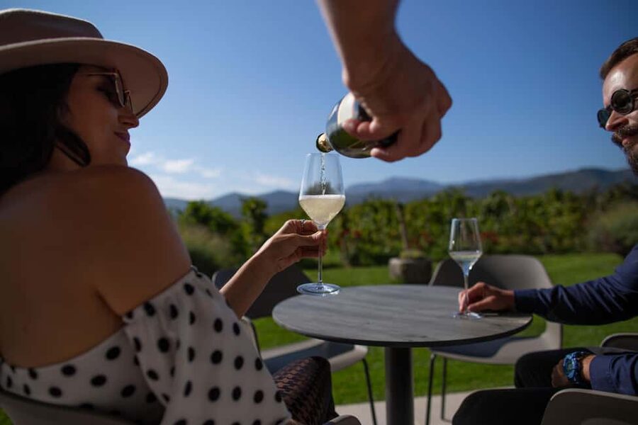 From Makarska : Wine Tasting Grabovac Tour - Time among the vineyards adds breathing room