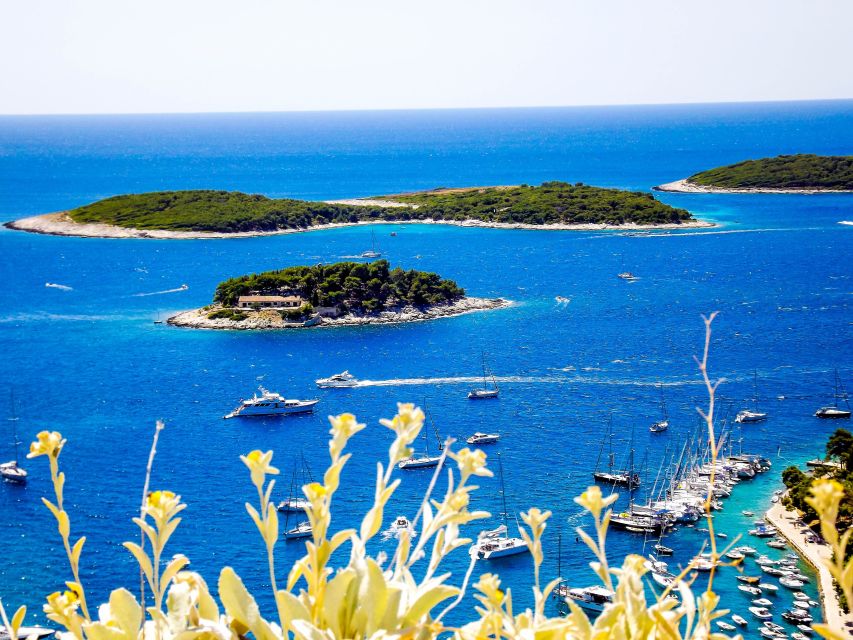 From Split: Blue Cave and Hvar Guided Tour by Luxury Boat - One hour at Budikovac Blue Lagoon