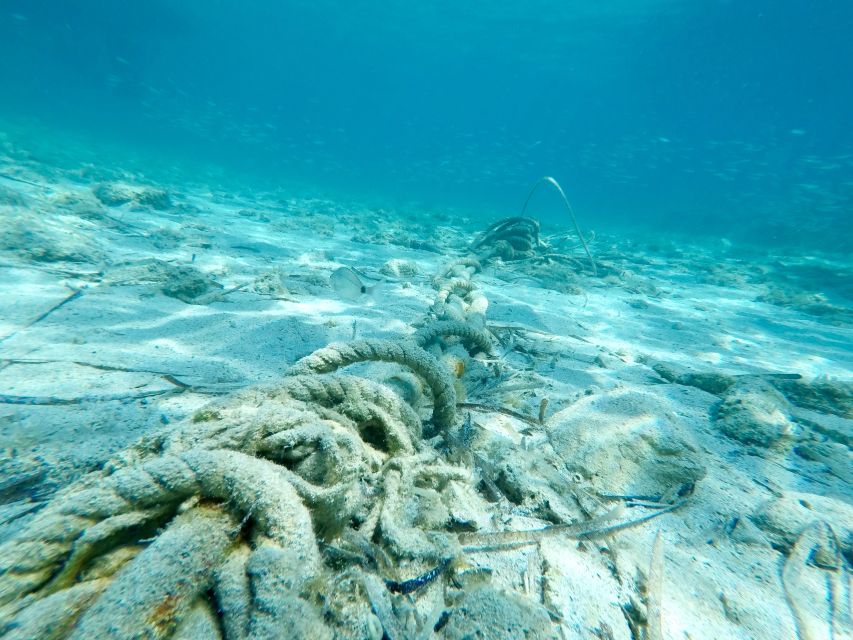 From Split: Blue Lagoon & Trogir Boat Trip with Snorkeling - What the Private Boat Adds