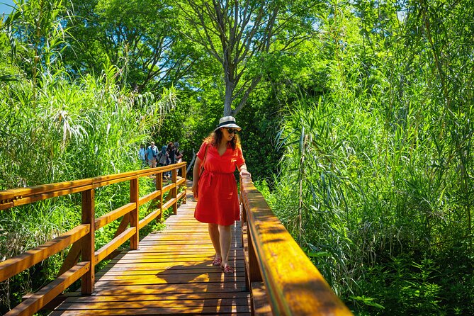 From Split: Krka Waterfalls Tour - Who Should Book This Krka Day Trip?