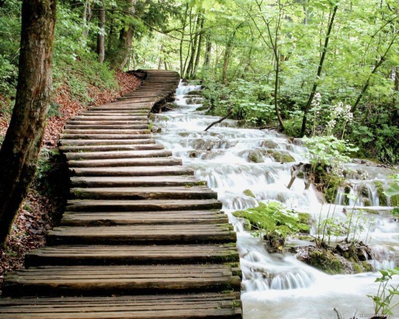 From Split or Trogir: Plitvice Lakes Guided Full-Day Tour - Who should book this Plitvice day trip?