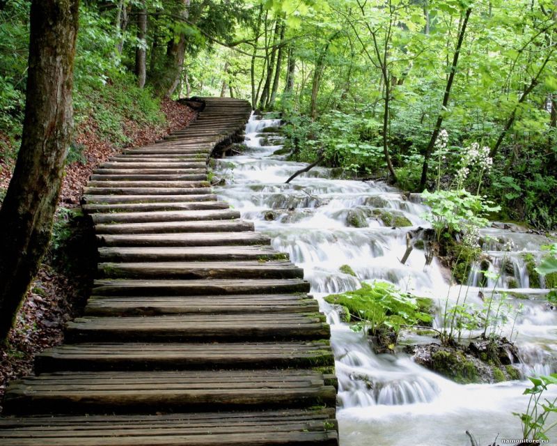 From Split or Trogir: Plitvice Lakes Private Tour - What the private format really gives you