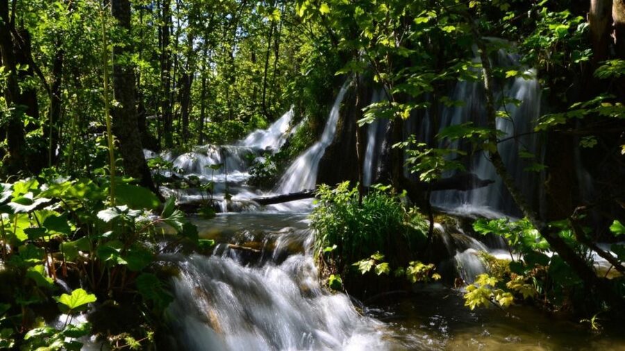 From Split or Trogir: Plitvice Lakes Trip with Entry Ticket - The morning bus ride through Lika