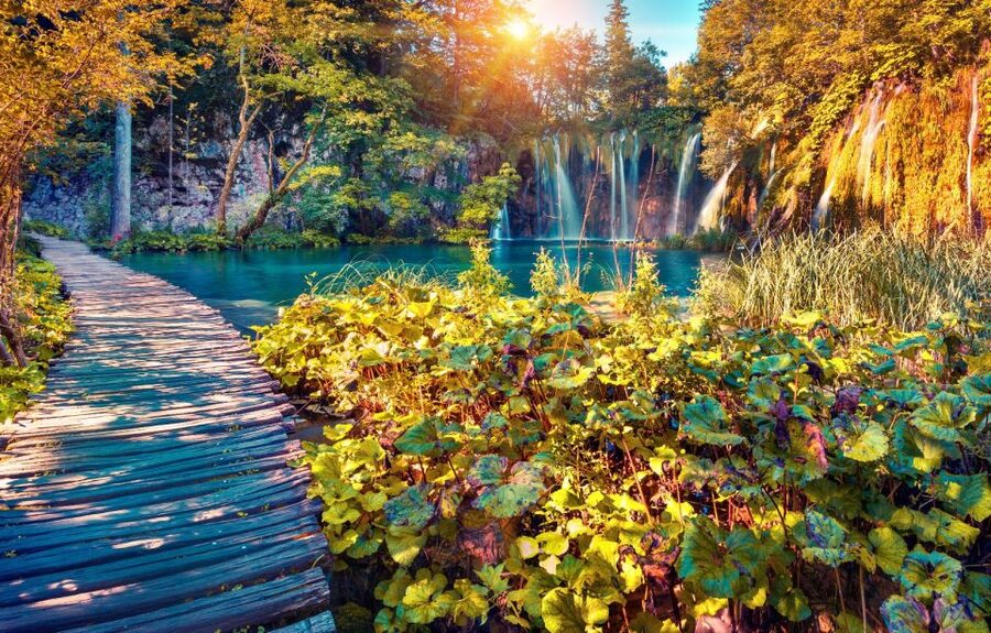 From Split: Plitvice Lakes Full-Day Trip - Entering the lower lakes and finding the Great Waterfall