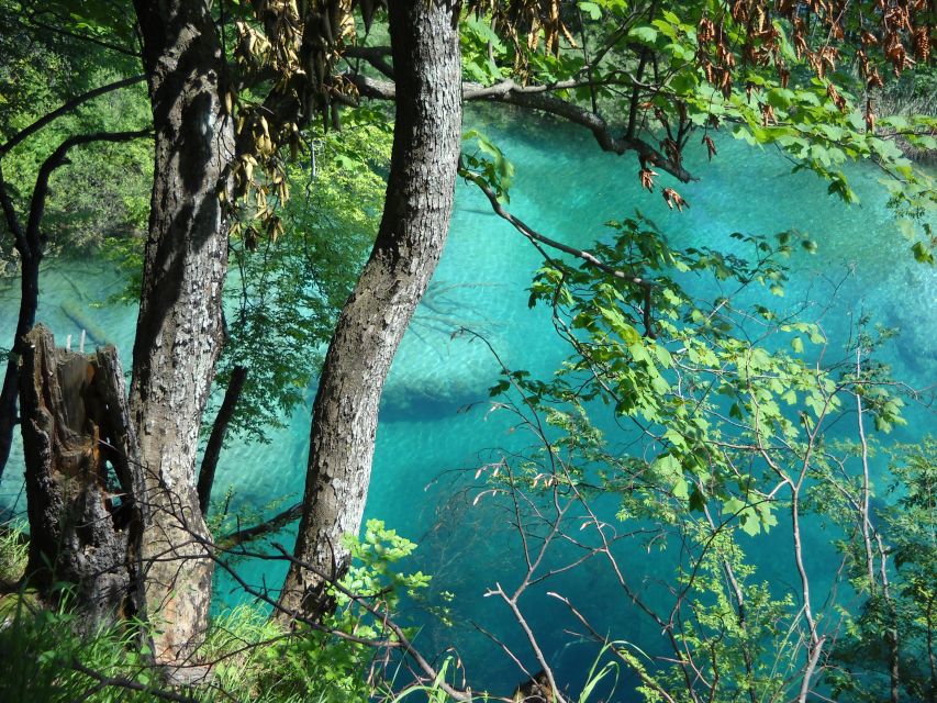 From Split: Plitvice Lakes Full-Day Trip - The return journey and the cost of a full day