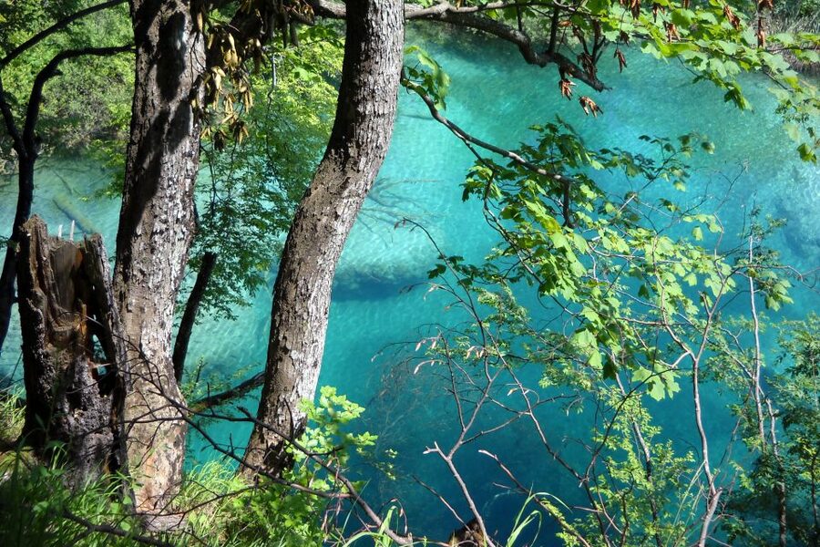 From Split: Plitvice Lakes Fully-Guided Day Tour - The first café stop after the three-hour ride