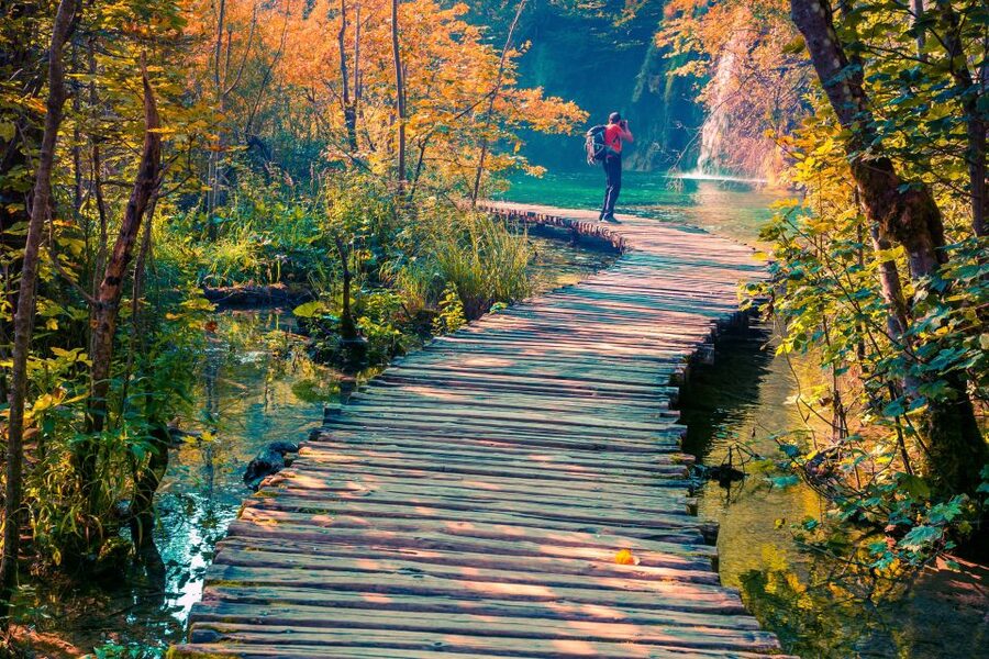 From Split/Trogir/Omiš: Plitvice Lakes Guided Group Tour - The upper lakes, waterfalls, and wooden walkways