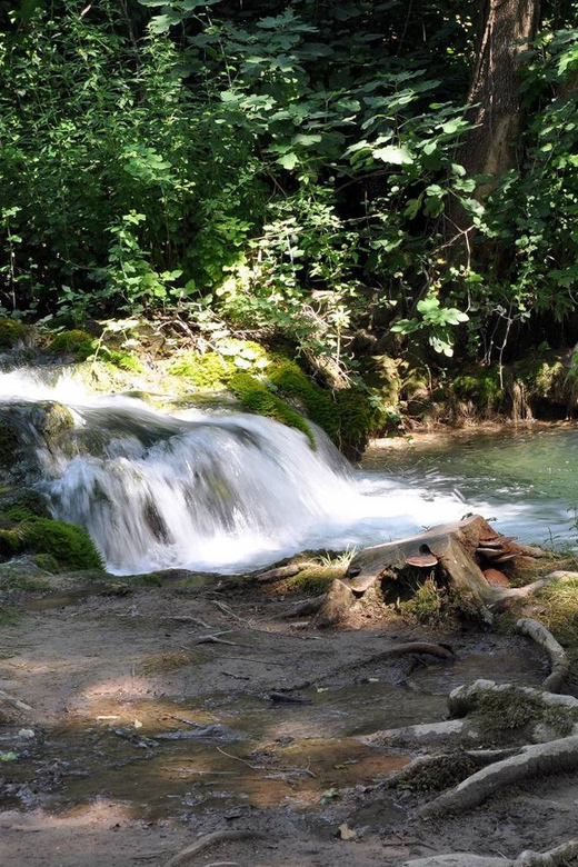 From Trogir, Seget & Okrug: Krka Waterfalls Gastro Tour - The river boat to Skradin