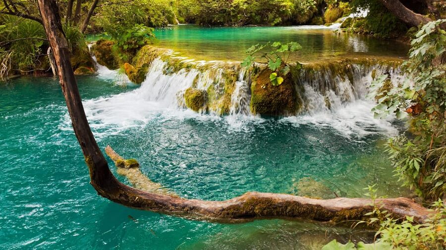From Trogir, Seget & Okrug: Krka Waterfalls Gastro Tour - The Primošten viewpoint finish