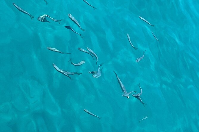 Full Day Boat Tour, Blue Lagoon and Šolta with lunch&drinks - Who should book this boat day?