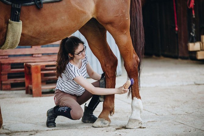 Full day Horse riding & Quad biking - Comfort, safety, and physical effort
