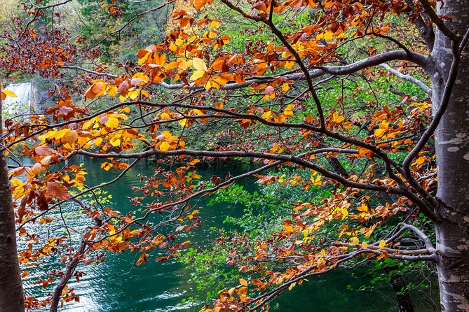 Full-Day Private Plitvice Lakes National Park Tour from Split - Booking Details That Matter