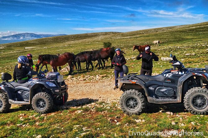 Full-Day Quad and Wild Horses Safari in Livno from Split - Meeting Livno’s free-roaming horses