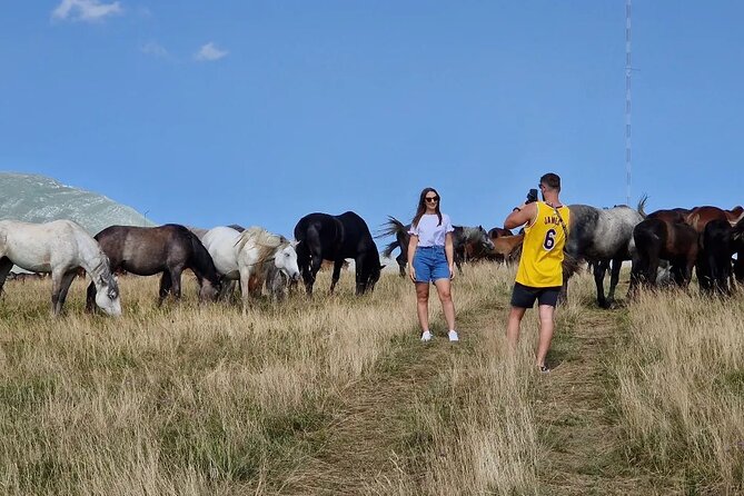 Full-Day Quad and Wild Horses Safari in Livno from Split - Who will enjoy this day most?