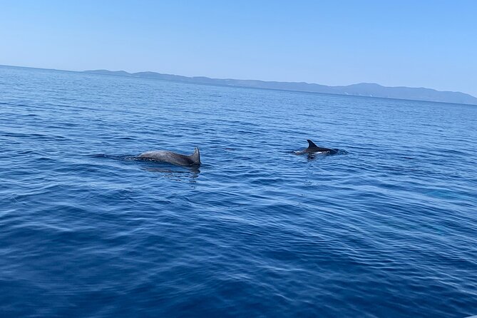 Fully customized private boat trip from Trogir and Split - Pakleni Islands: bays and clear water to finish