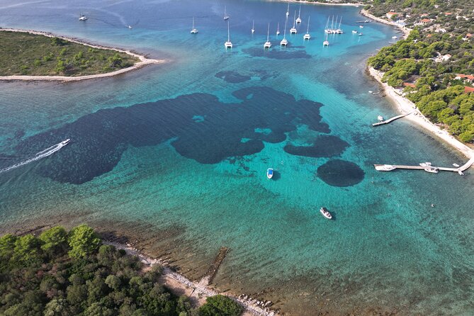 Half-Day Private Blue Lagoon Island Tour in Croatia - Who will enjoy this outing most?