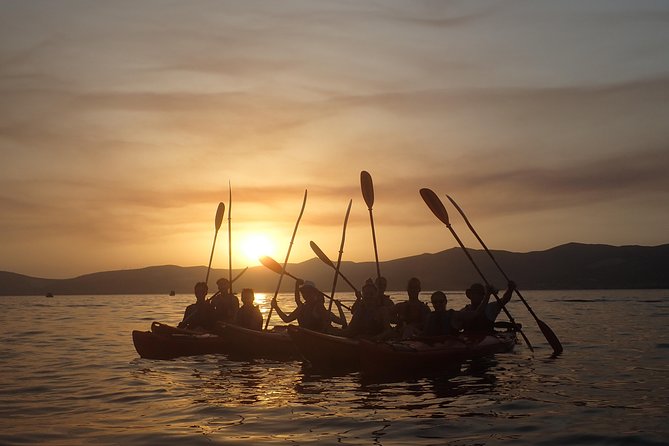 Half-Day Split Sea Kayak Adventure - What the $59.95 Price Covers