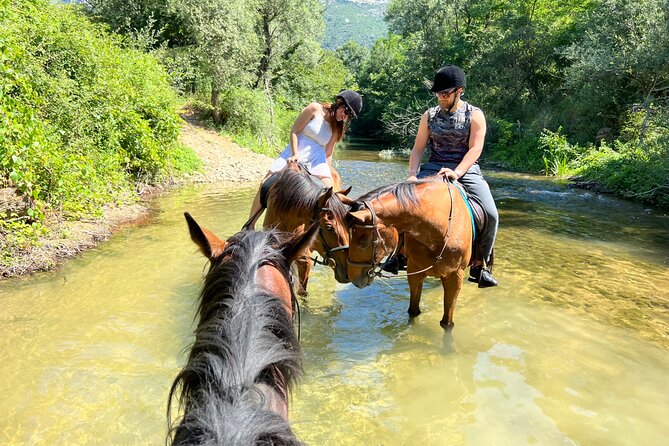 Horseback Riding Across River Ljuta with transport - Entering River Ljuta on horseback