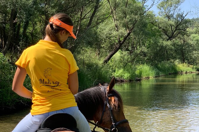 Horseback Riding Across River Ljuta with transport - How the price compares with the experience