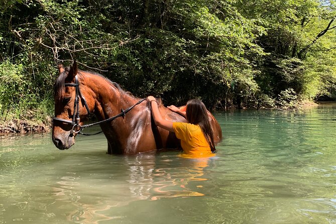 Horseback Riding Across River Ljuta with transport - Timing, weather, and booking details