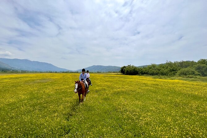 Horseback Riding Across River Ljuta with transport - Meeting the horses and settling into the ride