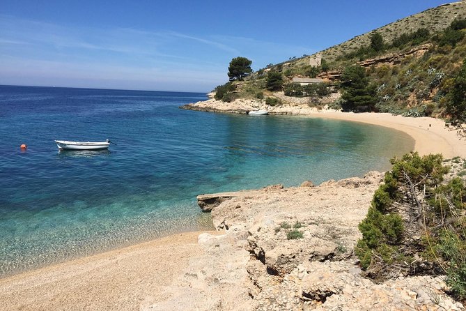 Hvar Pakleni islands and Secrets of Brac and Solta private tour - Hvar town from 9:15 to 10:30