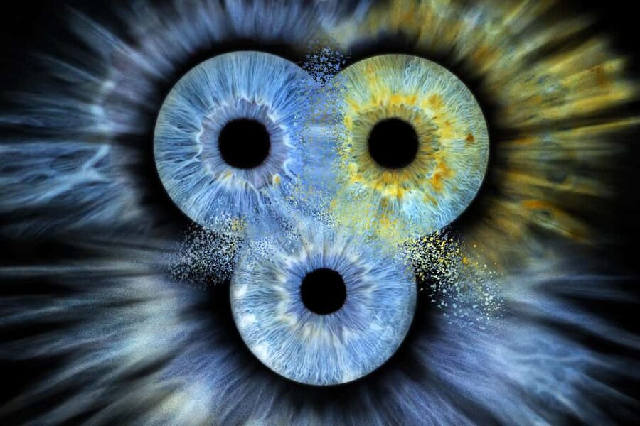 IRIS Photography (macro photo of your eye) - Key points to know before you book
