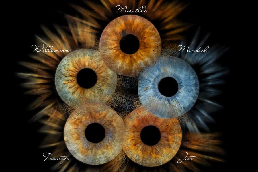 IRIS Photography (macro photo of your eye) - What the iris photo actually captures