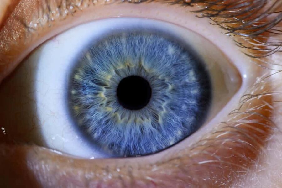 IRIS Photography (macro photo of your eye) - Who will enjoy this most