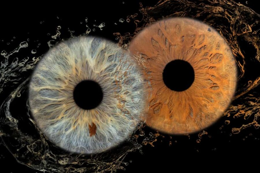 IRIS Photography (macro photo of your eye) - Arriving at Split Photo Agency on kralja Zvonimira 7