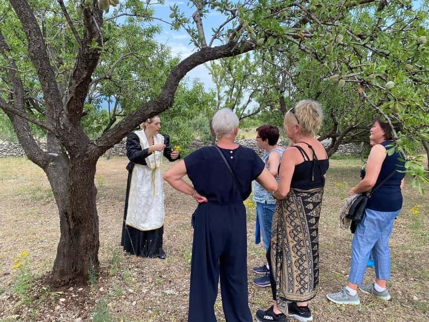 Kastela: Wine & Olive Tasting Tour w/Delicacies & Live Music - What happens in the wine cellar