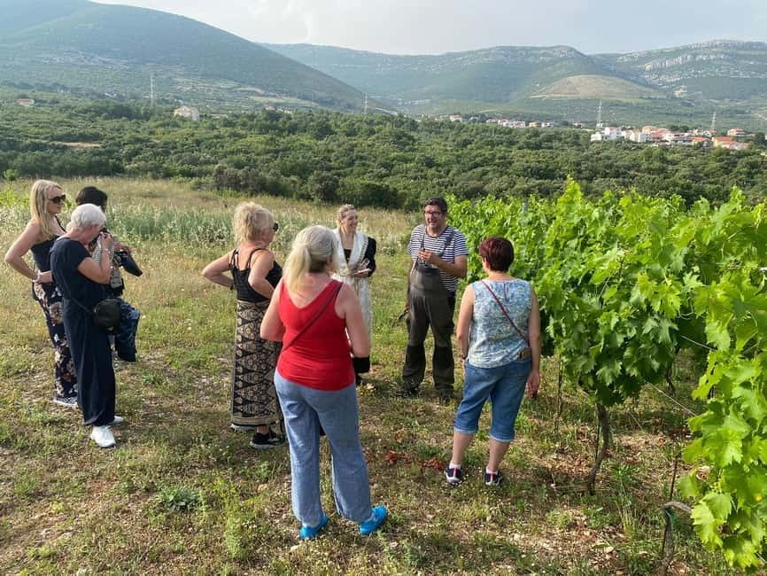 Kastela: Wine & Olive Tasting Tour w/Delicacies & Live Music - Kathrin’s music and traditional dress