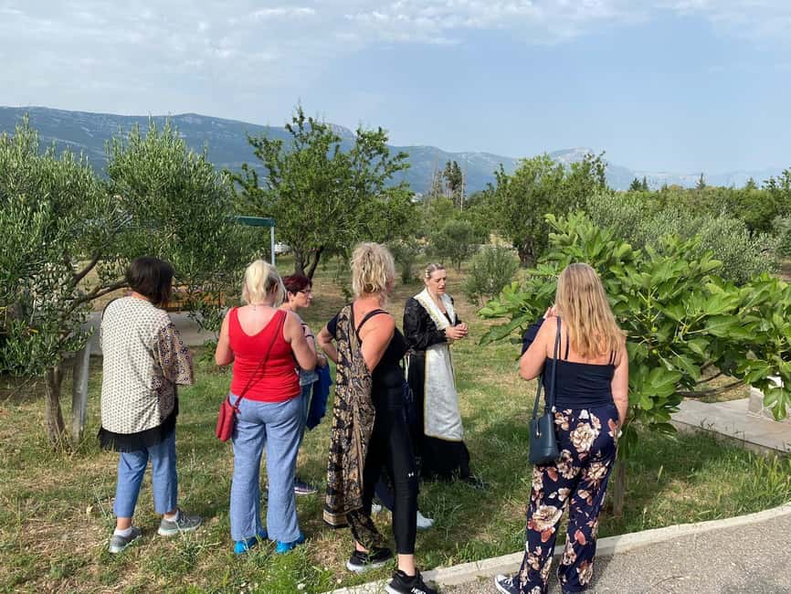 Kastela: Wine & Olive Tasting Tour w/Delicacies & Live Music - How this compares with a standard tasting