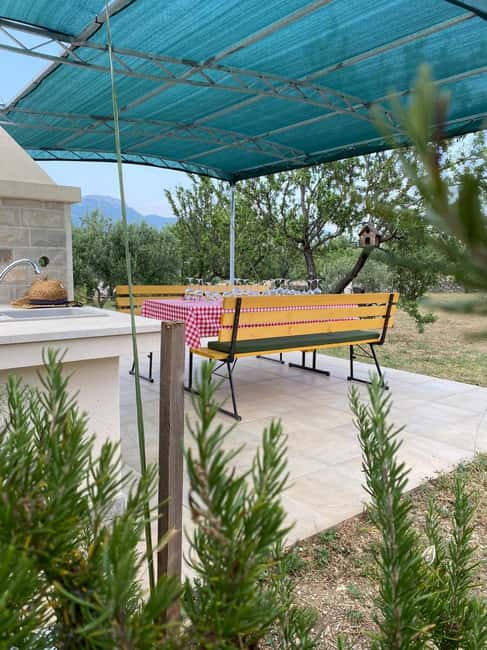 Kastela: Wine & Olive Tasting Tour w/Delicacies & Live Music - Booking details worth knowing