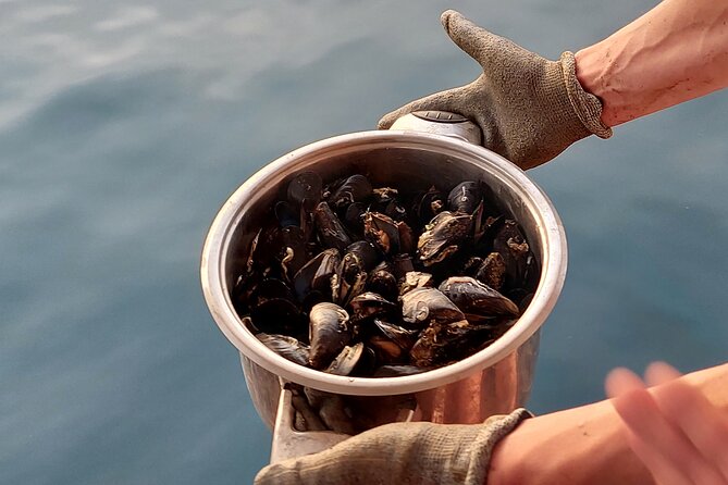 Kayaking and mussels tasting at Krka River estuary-private tours - What the $84.21 price includes